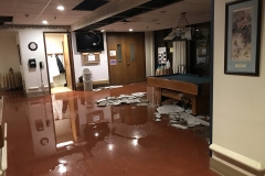 Entrance-to-Dining-Room_Flooded_1